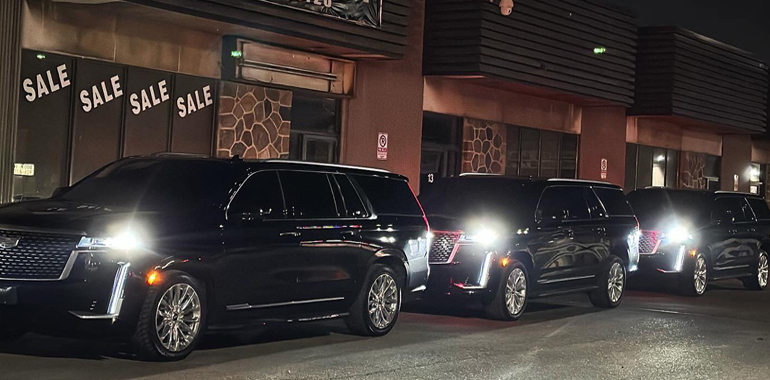 AAA Executive Limousine Inc